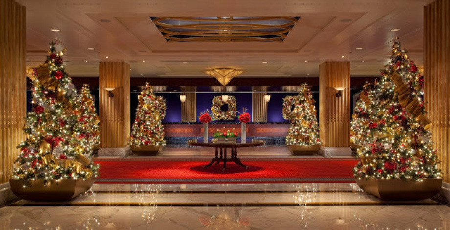 A commercial space with christmas trees decorated