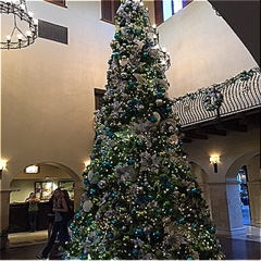 A large Christmas tree decorated inside