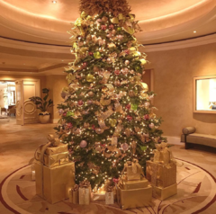 A large decorated christmas tree inside with gifts around it