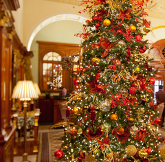 A Christmas tree with decorations