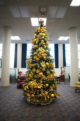 A tall decorated Christmas tree
